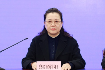 4解读育儿补贴制度新闻发布会 (5).JPG