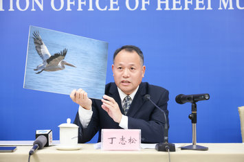 合肥市生态环境局局长丁志松.jpg